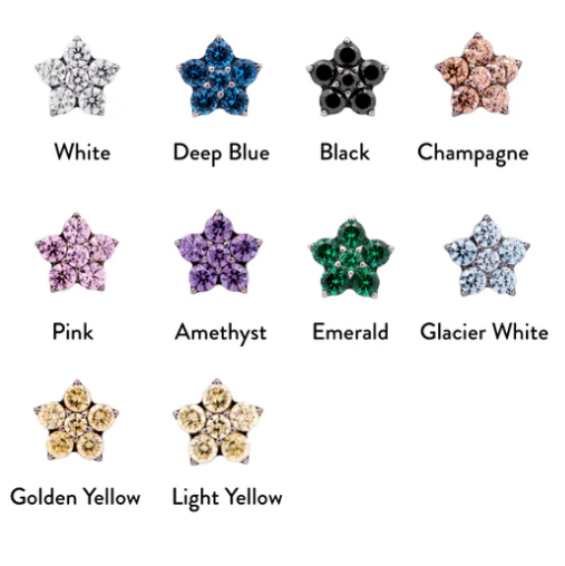 Junipurr Jewelry Titanium Flower Gem (5 petals)