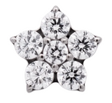 Junipurr Jewelry Titanium Flower Gem (5 petals)