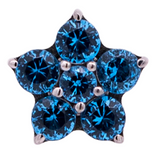 Junipurr Jewelry Titanium Flower Gem (5 petals)
