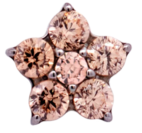 Junipurr Jewelry Titanium Flower Gem (5 petals)