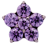 Junipurr Jewelry Titanium Flower Gem (5 petals)