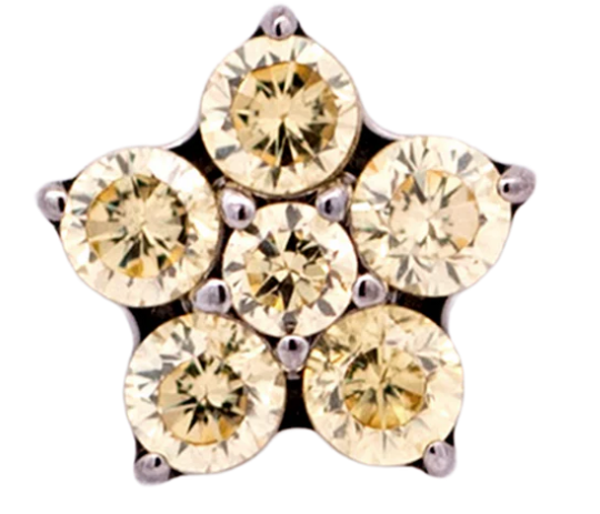 Junipurr Jewelry Titanium Flower Gem (5 petals)