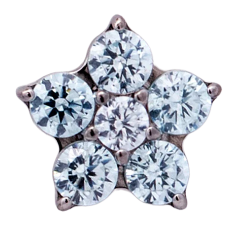 Junipurr Jewelry Titanium Flower Gem (5 petals)