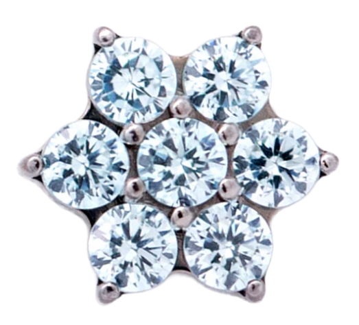 Junipurr Jewelry Titanium Flower Gem (6 petals)