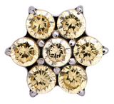 Junipurr Jewelry Titanium Flower Gem (6 petals)