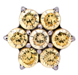 Junipurr Jewelry Titanium Flower Gem (6 petals)