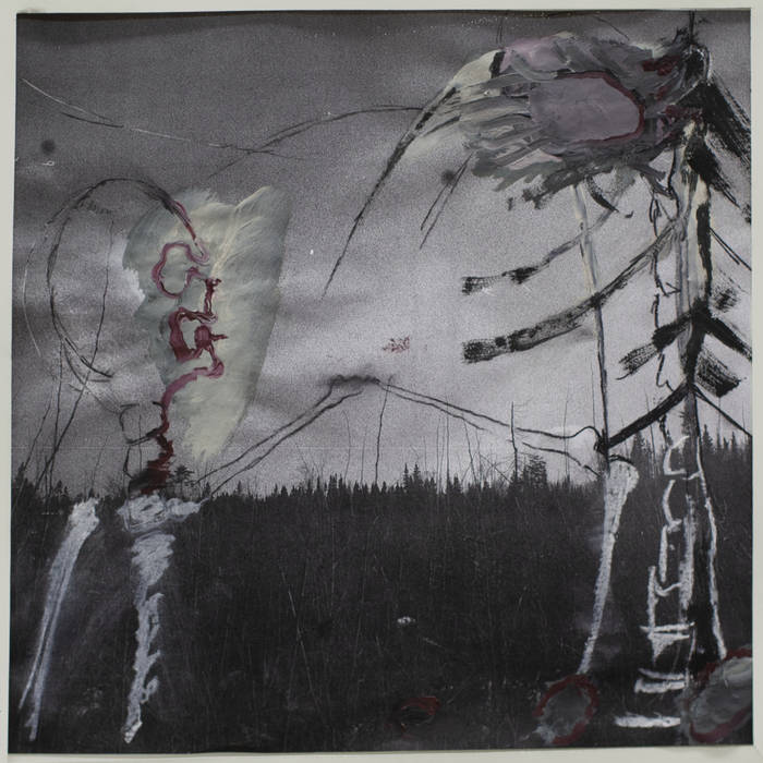 Albatros - Correct