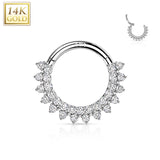 14K Gold Hinged Segment Hoop Forward facing double cz