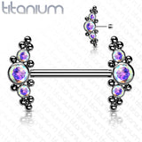 Implant Grade Titanium Threadless Push In Nipple Barbell