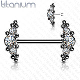Implant Grade Titanium Threadless Push In Nipple Barbell