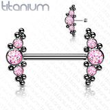 Implant Grade Titanium Threadless Push In Nipple Barbell