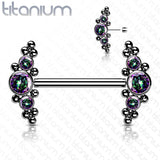 Implant Grade Titanium Threadless Push In Nipple Barbell