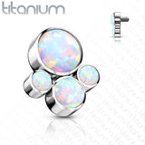Implant Grade Titanium Internally Threaded Opal Bezel Set Pet Paw