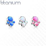 Implant Grade Titanium Internally Threaded Opal Bezel Set Pet Paw
