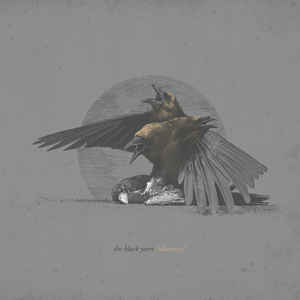 The Black Years - Idiocracy