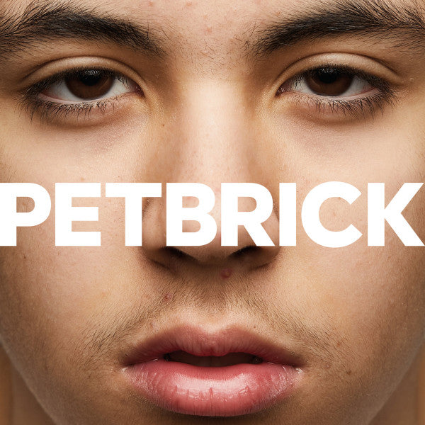Petbrick – I