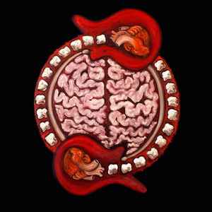 Opusculus – Consonant
