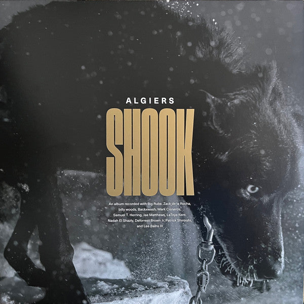 Algiers (2) – Shook