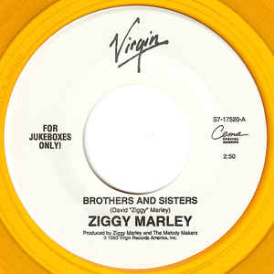 Ziggy Marley - Brothers And Sisters