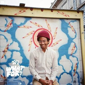 Toro Y Moi – What For?