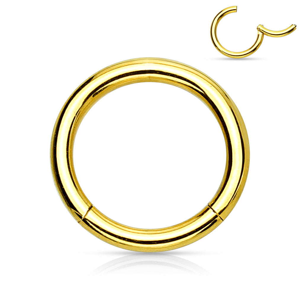 Clicker Segment Hoops Rings