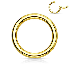 Clicker Segment Hoops Rings