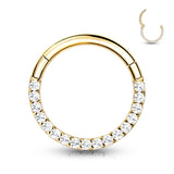 Implant Grade Titanium Hinged Segment Hoop Ring With Forward Facing Pave CNC Set CZ