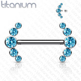 Implant Grade Titanium Nipple Barbells with CZ bezel Set Internally Threaded