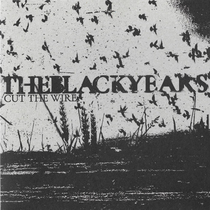 The Black Years - Cut The Wire