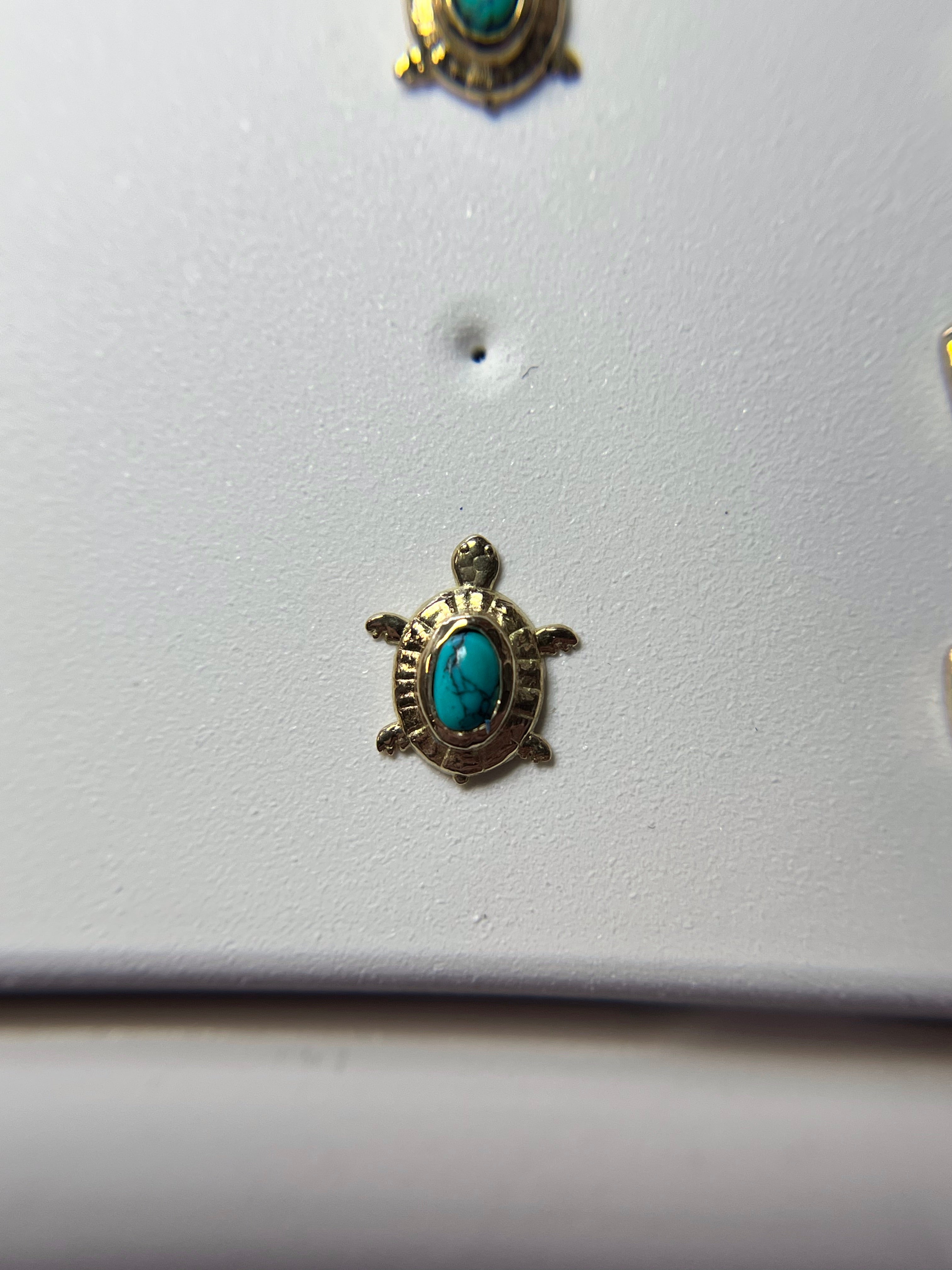 Turtle