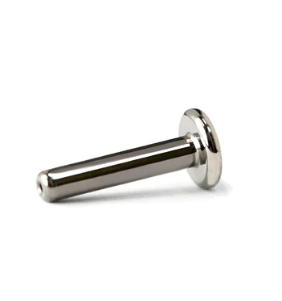 Threadless Push In Labret